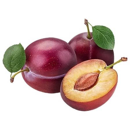 Iran Plum