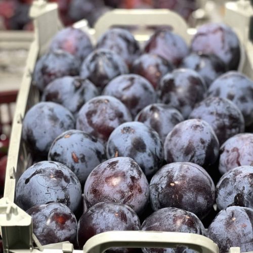 plum sorted